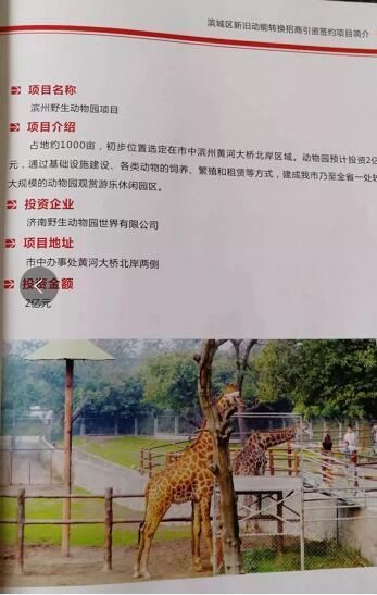 厲害了我的大濱州，15個(gè)招商引資項(xiàng)目集中簽約！