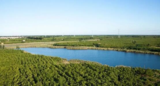 厲害了我的大濱州，15個(gè)招商引資項(xiàng)目集中簽約！